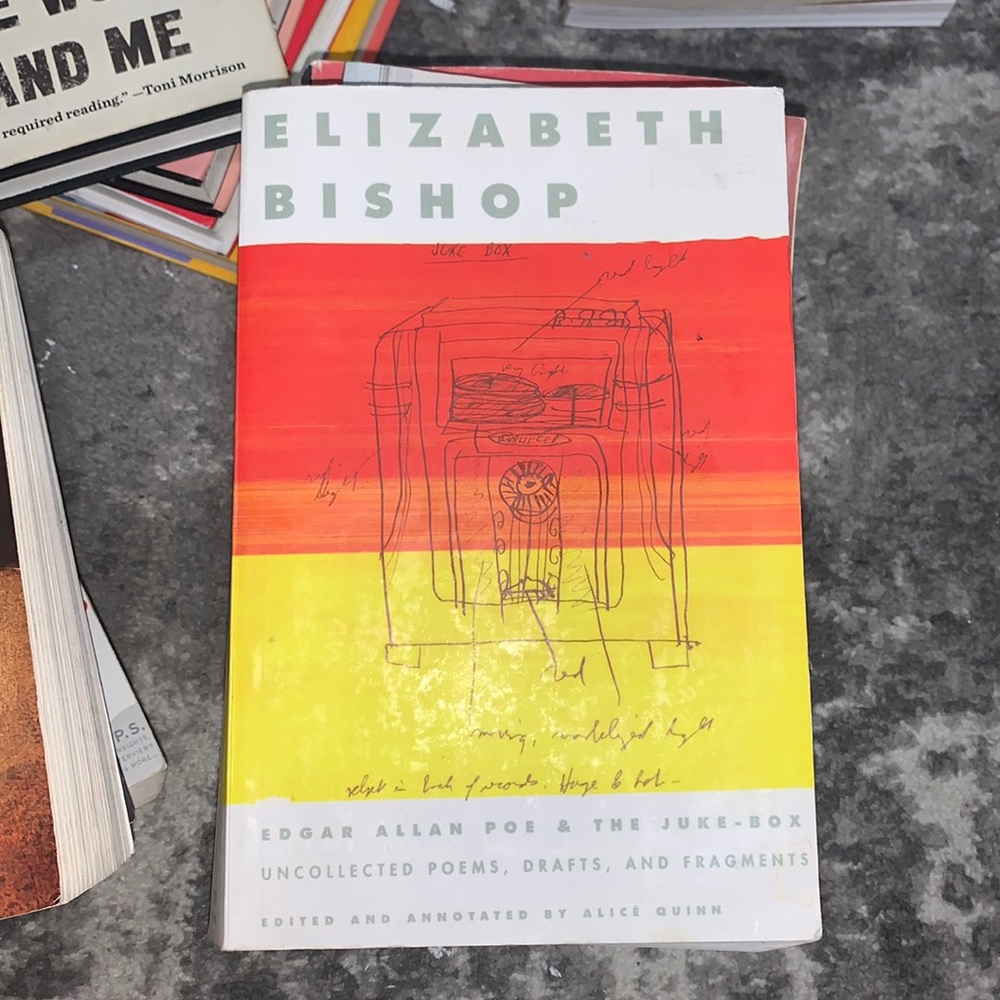 Edgar Allan Poe & The Juke-box by Elizabeth Bishop